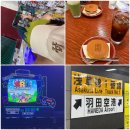 하라문코스메틱 | 2026년 7월 도쿄 여행🗼 롯폰기 스기 약국 / 라이즈 팬미팅 / 하네다공항에서 인천공항으로