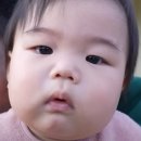 함평국밥 - 중랑구 봉우재로33길 73 | 광주 근교 맛집 함평 천석궁국밥 손순대 솔직 후기 (전남 함평 국밥 맛집)