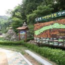 포항 중명생태공원 GBN 경북방송