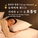 🌙 불면증 탈출 (Escape Insomnia) 😴 눕자마자 잠드는 기적의 4-7-8 호흡법 이미지