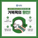 올림픽정형외과의원 이미지