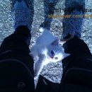 월송농장 이미지