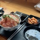 개인생활펫 이미지