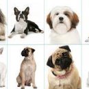 유동물병원 이미지