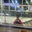 예스동물병원 | 내 꿈은 먹방유튜버