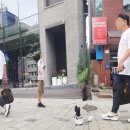 학동로 이미지