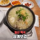 녹두 | 일산맛집 삼계보감, 마두동삼계탕으로 몸보신! 녹두삼계탕 후기 🍲