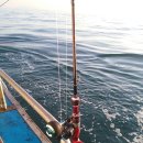 바다의 신 이미지