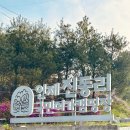 곰배령 벨리 | 진동리국민여가캠핑장 5월 현황, 예약, 가격, 사이트 정보 정리!