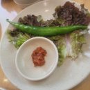 봄솔보리밥