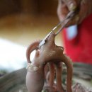 고파도박속낙지 이미지