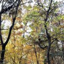 우면산3-19 이미지