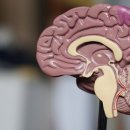 사회통합프로그램 주간 3단계 | AI 노인 돌봄+금융 케어 통합서비스 완벽 가이드 | 2025년 최신 정보
