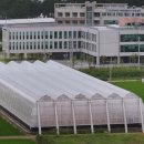 (주)서진팜 이미지