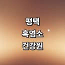 노양리 화장실 | 평택시 건강원 잘하는곳 흑염소진액 추천 정보 돼지감자 여주 가격 엑기스 도라지 후기