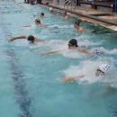 팀크레모아 이미지