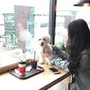 윤후동물병원 이미지