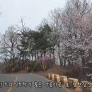 수정로+남한산성로 이미지