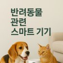 캣드림 | 반려동물 관련 스마트 기기 추천 TOP 5