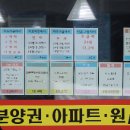 수정공인중개사사무소 동행미디어 시대