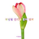 오늘의 운세 - 자강불식(自强不息) 이미지