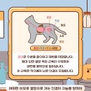 강서 더힐 동물병원 이미지