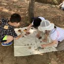 상2어린이집 이미지