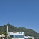 [포항 오션뷰 카페] 화진해수욕장 핫플 '아우로라' 내돈내산 후기 (주차, 베이커리 추천) 🌊