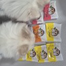 멍이랑 | 멍이밥상플러스 화식 첫 급여 후기!!