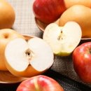 사과, 배, 과일 오랫동안 신선하게 먹을 수 있는 보관법 이미지