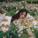 엘피조이 이미지