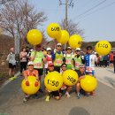 대청호 벚꽃길 마라톤대회 참가 하던날 이미지