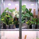 스마트가드너 이미지