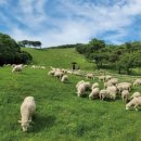 이명목장 이미지