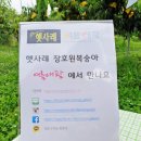 복사꽃마을영농조합법인 이미지