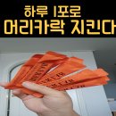 비어플러스 | 비어랩 독일 맥주효모환 비오틴 플러스 분말 효과 내돈내산 리얼 후기
