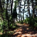 솔바다 펜션 이미지