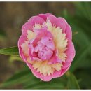 희망화원 이미지