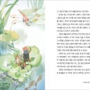 [다문화] 귀뚜라미 표류기/ 또 호아이, 따 후이 롱, 류티씽 / 여유당 / 2013 / 초등 고학년 이미지