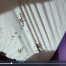 드림2모텔 이미지