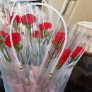 칸타레음악학원 이미지