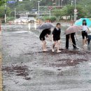 신항중학교 네이버블로그