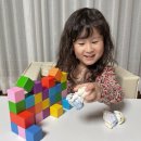 (유아)창의블럭 | 아이 크리스마스 선물 추천 생각하는집 자석블럭교구