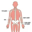 핏구공피티스튜디오&소정필라테스 이미지