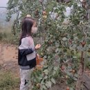 원복농장 이미지