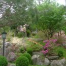 꿈에궁전 이미지