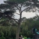 주천면 하송마을 이미지