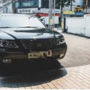 디엠모터스 이미지