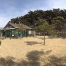 소올펜션 네이버블로그