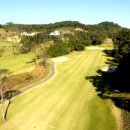 해운대비치 골프앤리조트 이미지